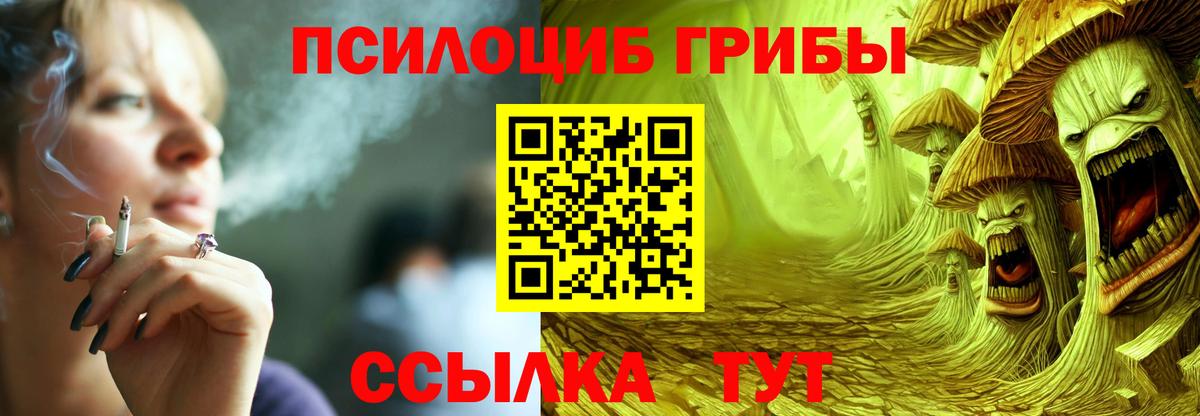 Протвино  Галлюциногенные грибы Psilocybine cubensis  Псилоцибиновые грибы мицелий  Вход с VPN 